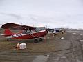 Alaska 2008 029